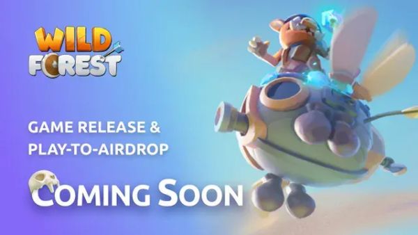 Wild Forest Introduces Forge Feature Ahead of Global Release