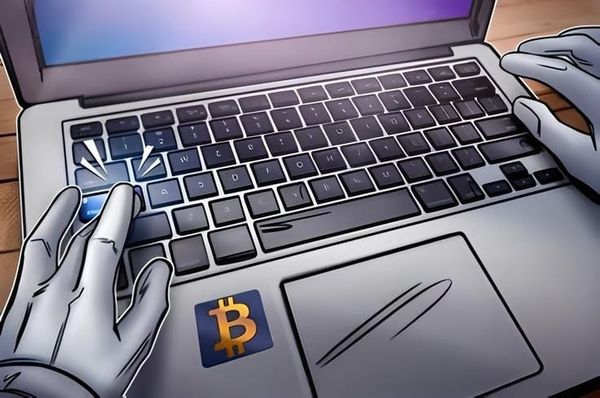 Sự Tăng Trưởng Trong Số Địa Chỉ Mới Của Bitcoin Gợi Ý Về "Sự Quan Tâm Tái Tạo" Từ Các Nhà Đầu Tư Lẻ