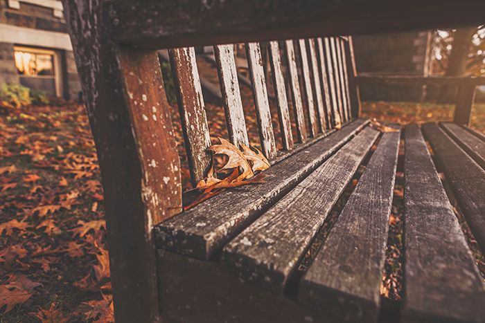 bench