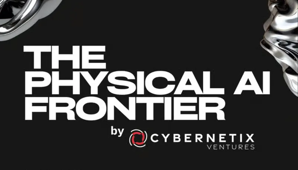 Navigating the Physical AI Frontier: Lessons from the Trenches
