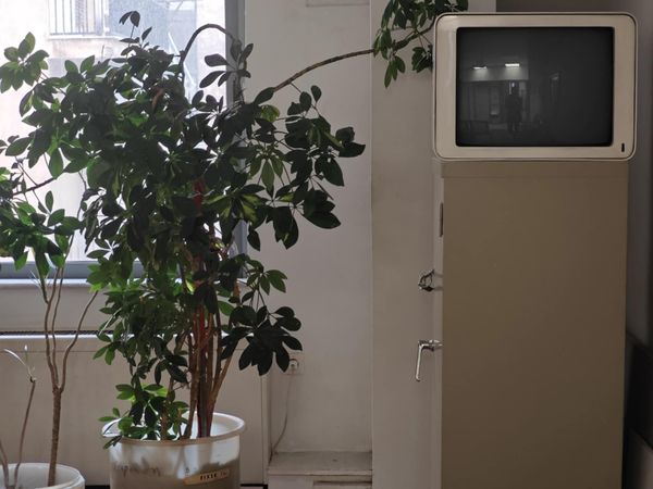 Pain is the only thing that knew me