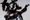 Nightbirds Editorial - Nick Knight
