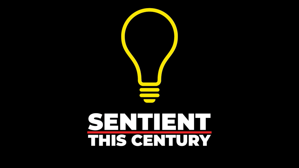 Welcome to Sentient This Century