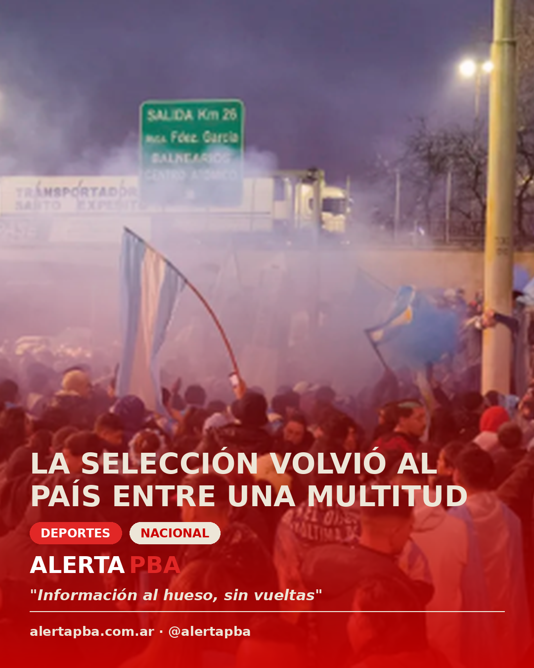 La Selección volvió al país entre una multitud que la esperaba en Ezeiza