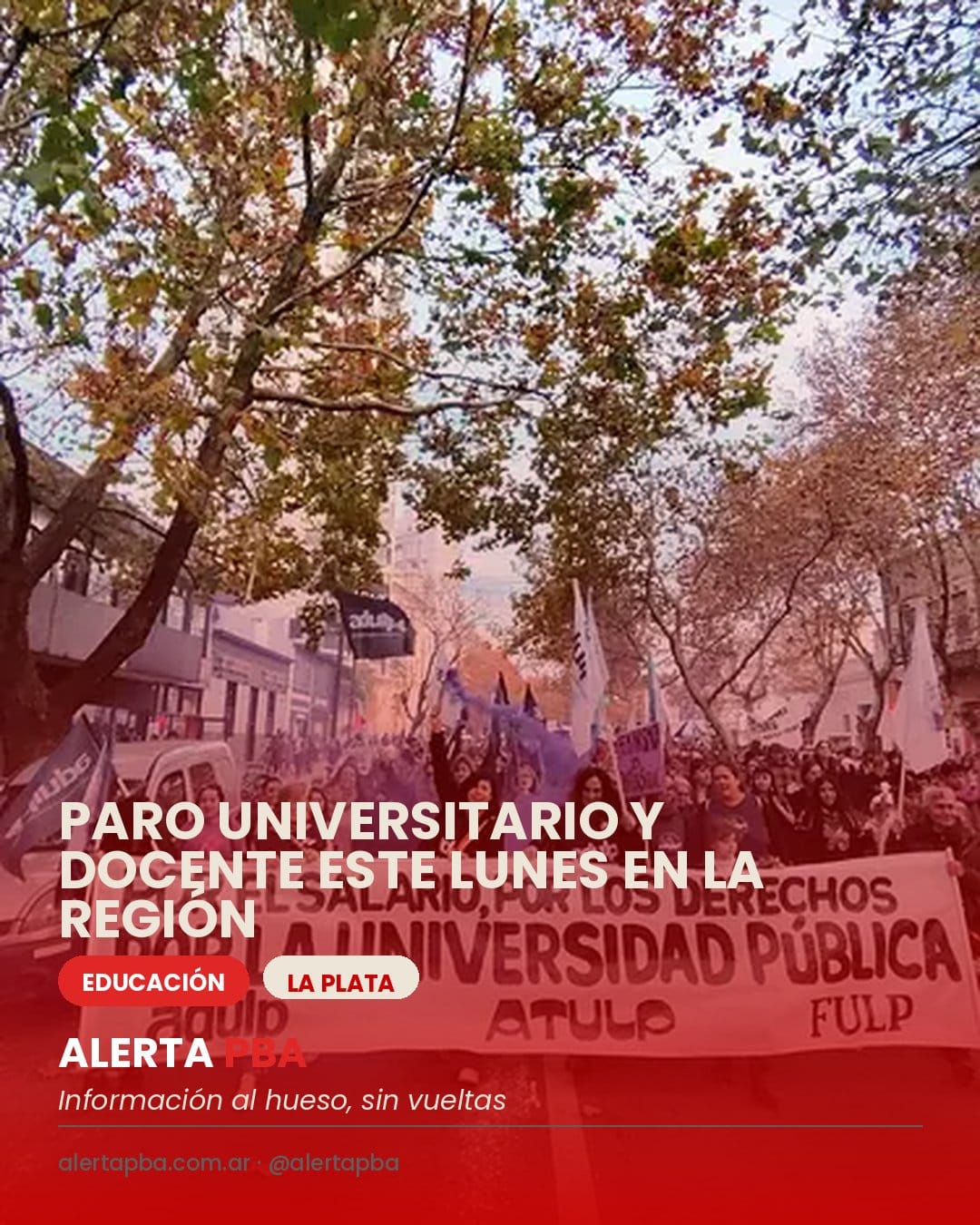 Adulp confirmó un paro docente y universitario para este lunes