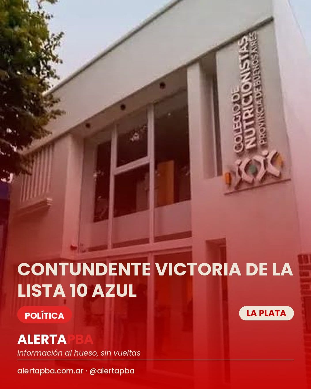 Contundente victoria de la Lista 10 Azul: el Colegio de Nutricionistas de la PBA renueva conducción