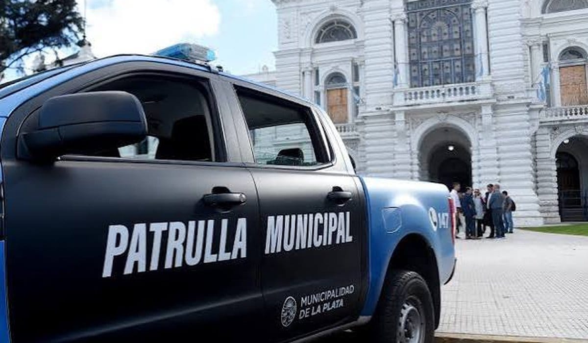 Alerta, delincuentes: la inseguridad no para en la Región