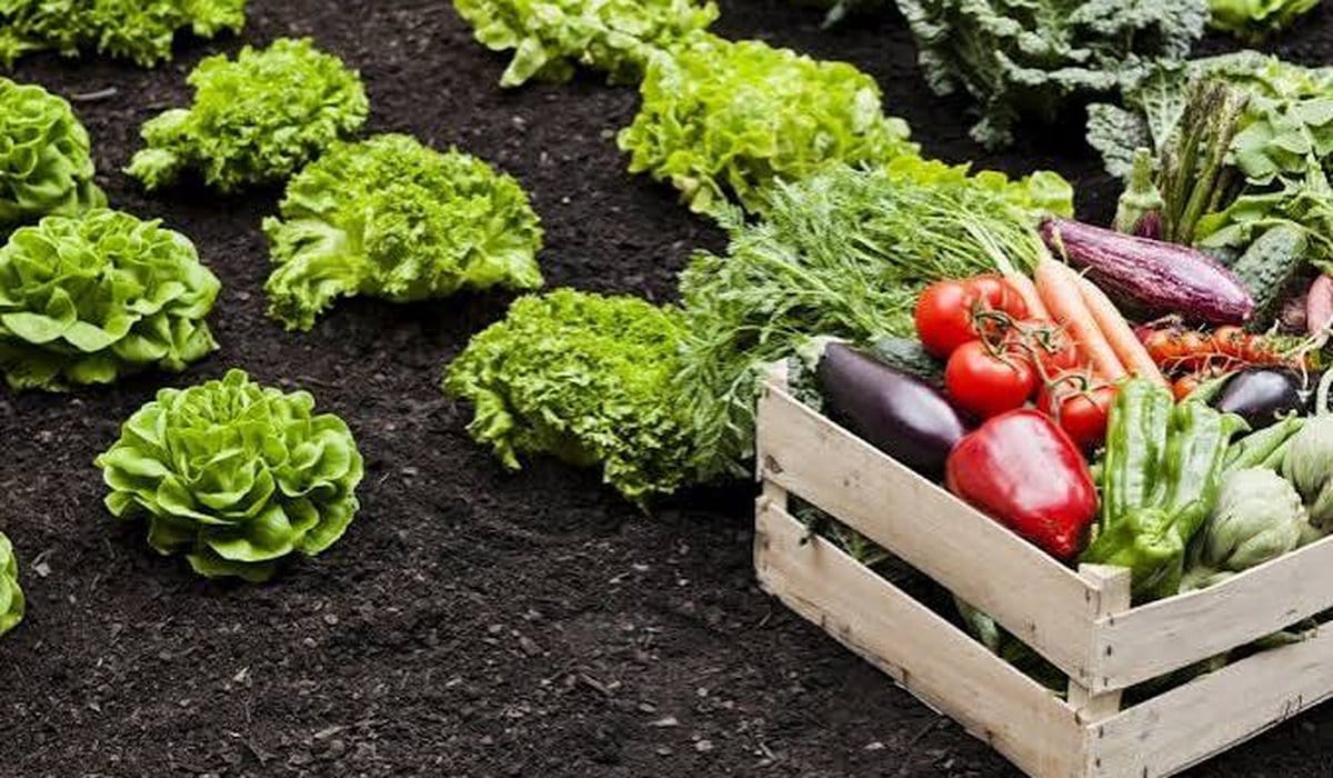 En La Plata, verduras y carne, con su propia inflación