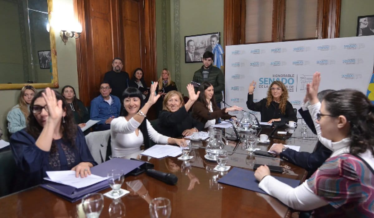 El Senado bonaerense propone un cupo mínimo del 10% de mujeres en las obras de construcción.