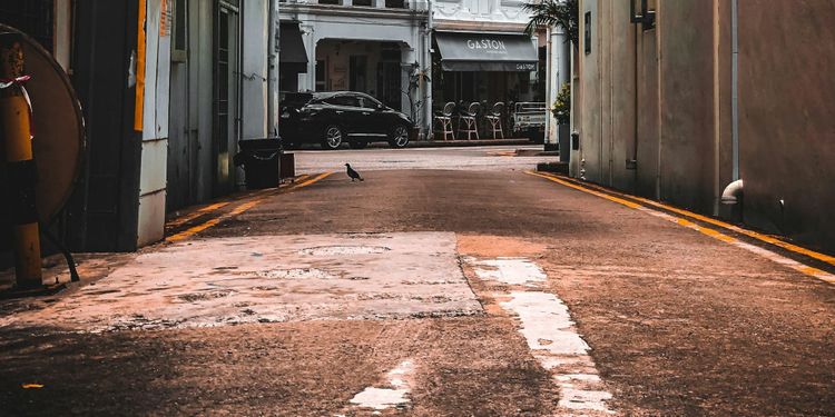 I Built CLI Tools for Claude Code. Here's What I Learned About Designing for AI Users