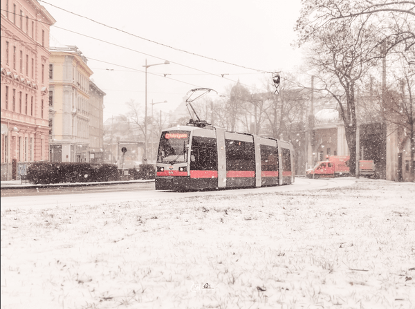 Neve em Viena: os melhores lugares para ver a capital com neve