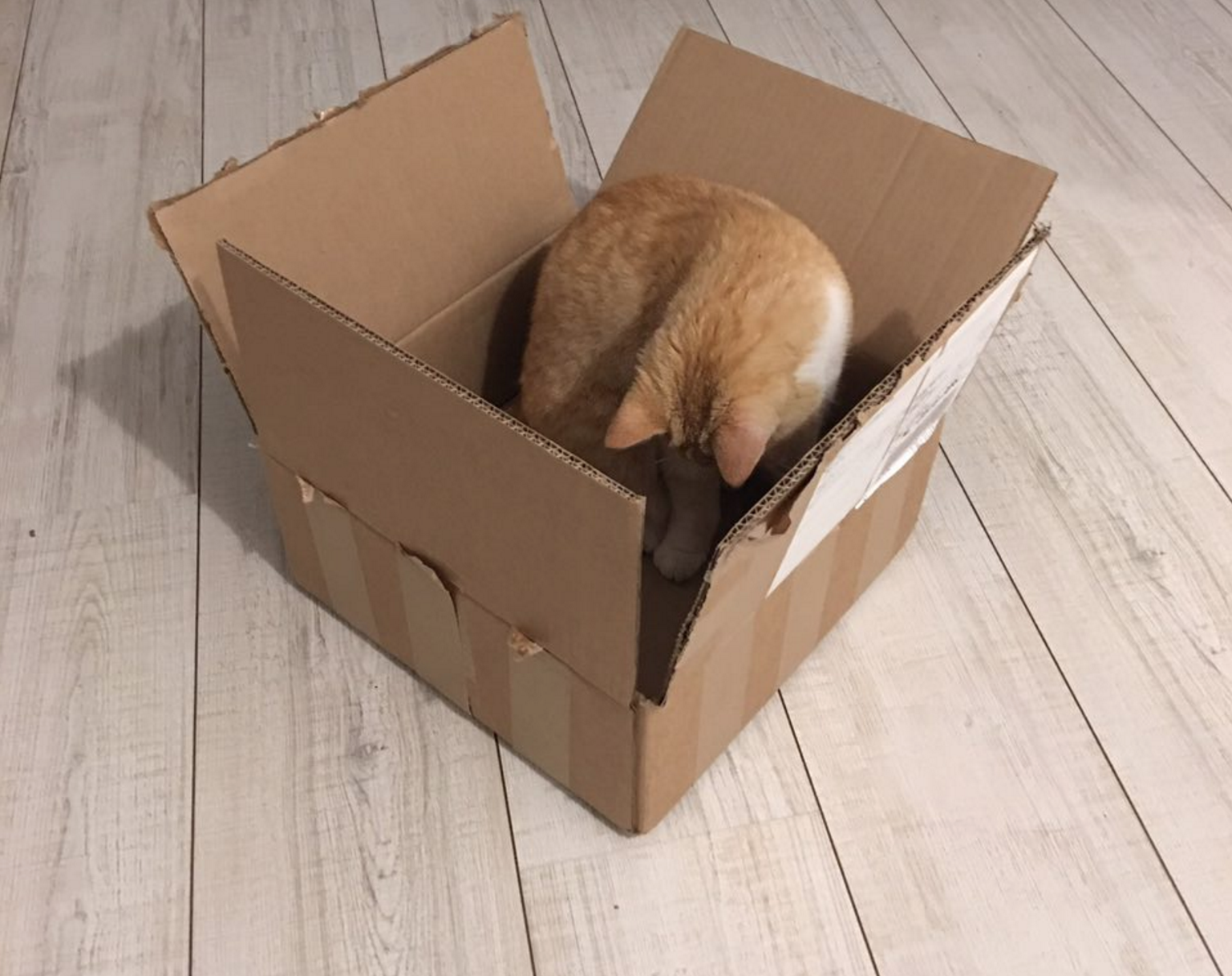 screenshot-2016-10-12-00-50-26