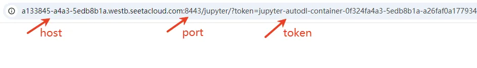You can get the Jupyter connection info from the browser’s address bar.