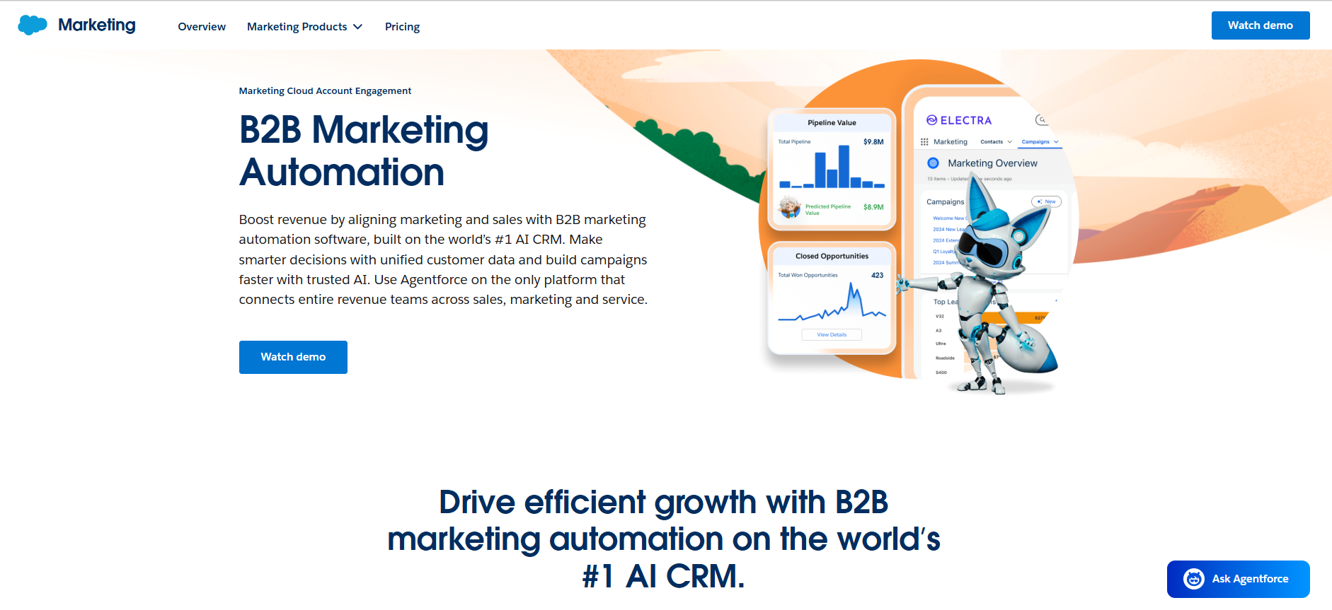 salesforce lead nurturing software