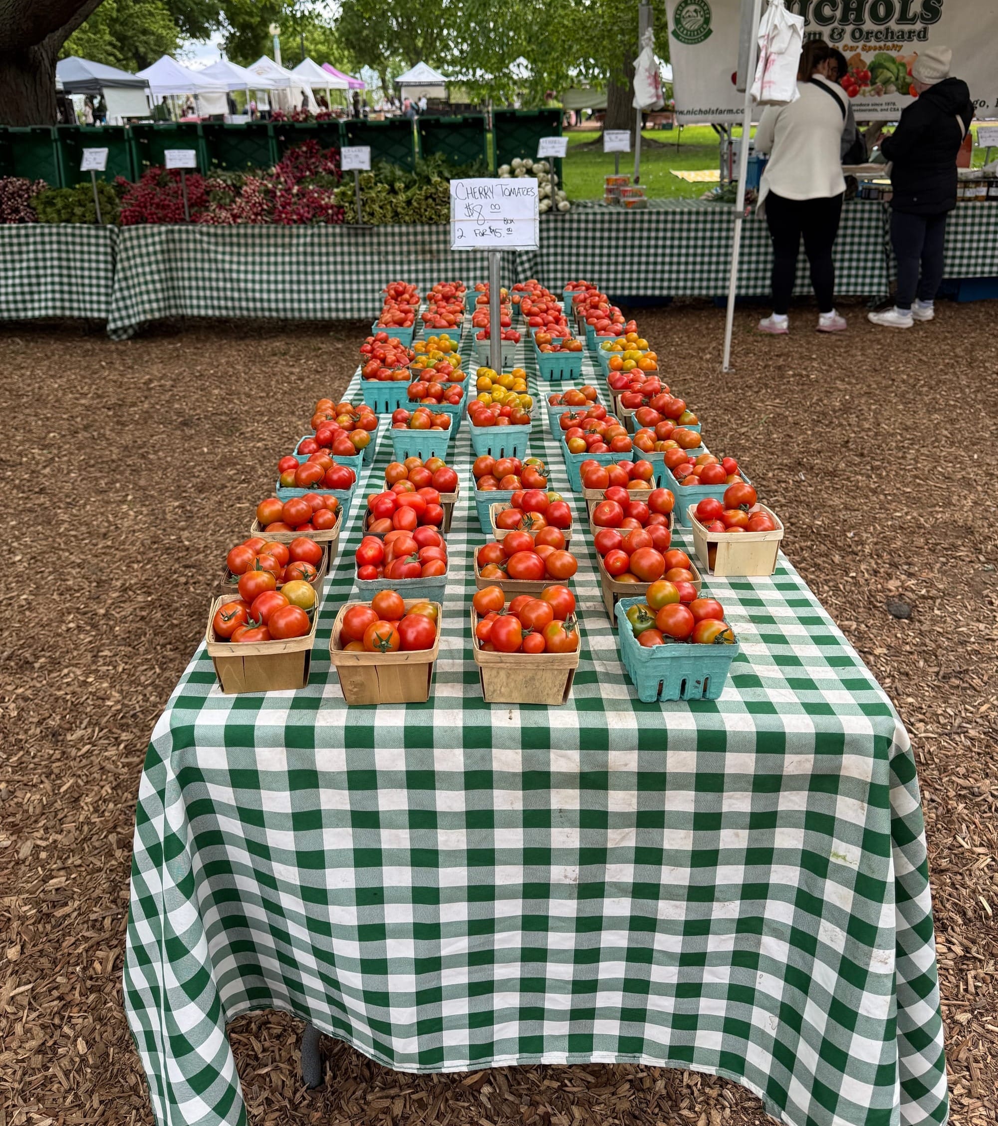 A green checkered tablecloth atop a table covered with pint baskets of ripe tomatoes