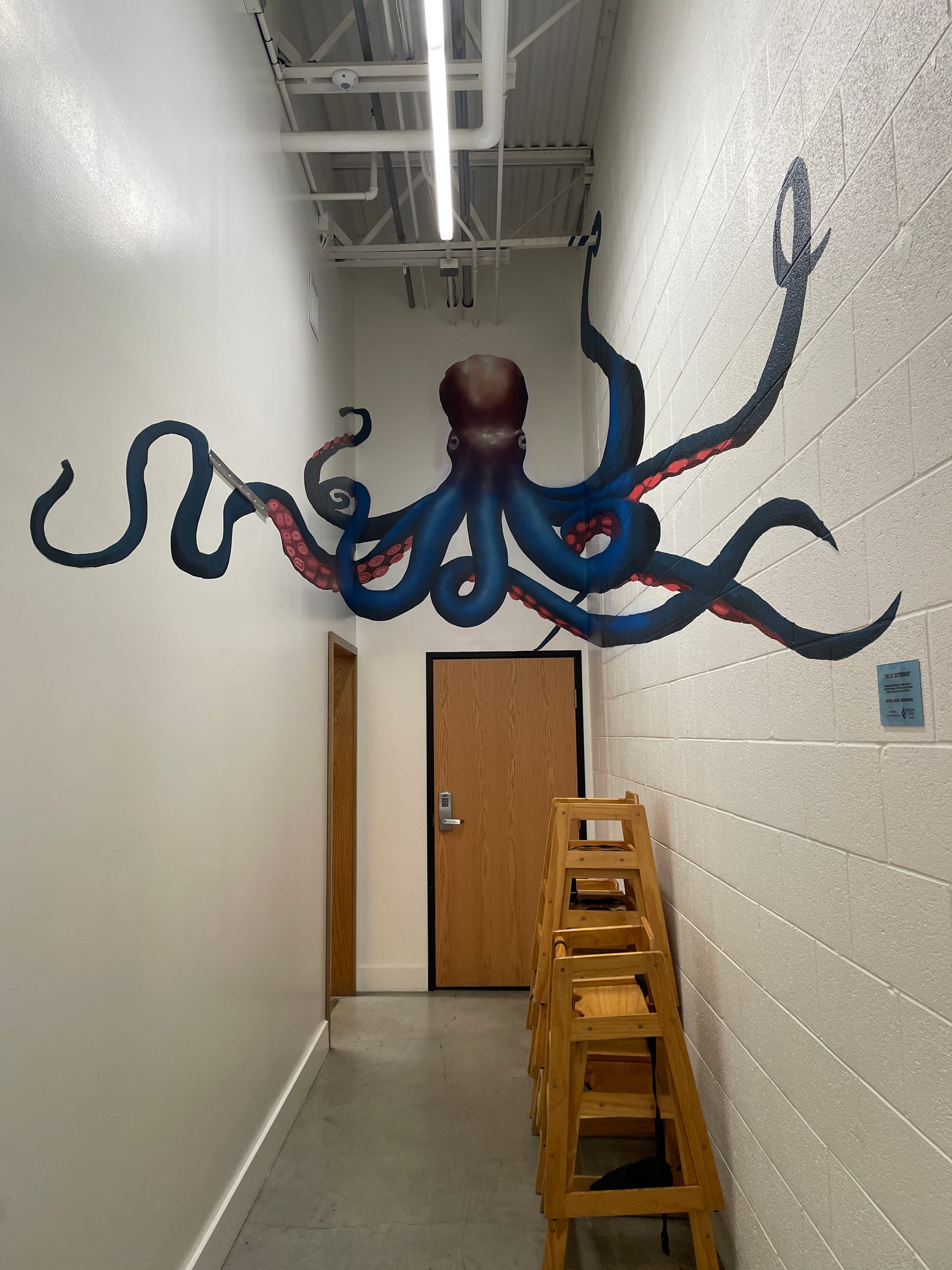 In a hallway leading into a bathroom, a giant mural of a blue octopus is painted above the doors.