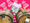 A box of Jeppson's Malört Liqueur, balanced between two barrels, in front of a pink and white background
