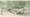 An illustration of a woman sitting in front of a bunch of pigs, with green accents