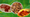 A graphic with three variations of Filipino spaghetti. 