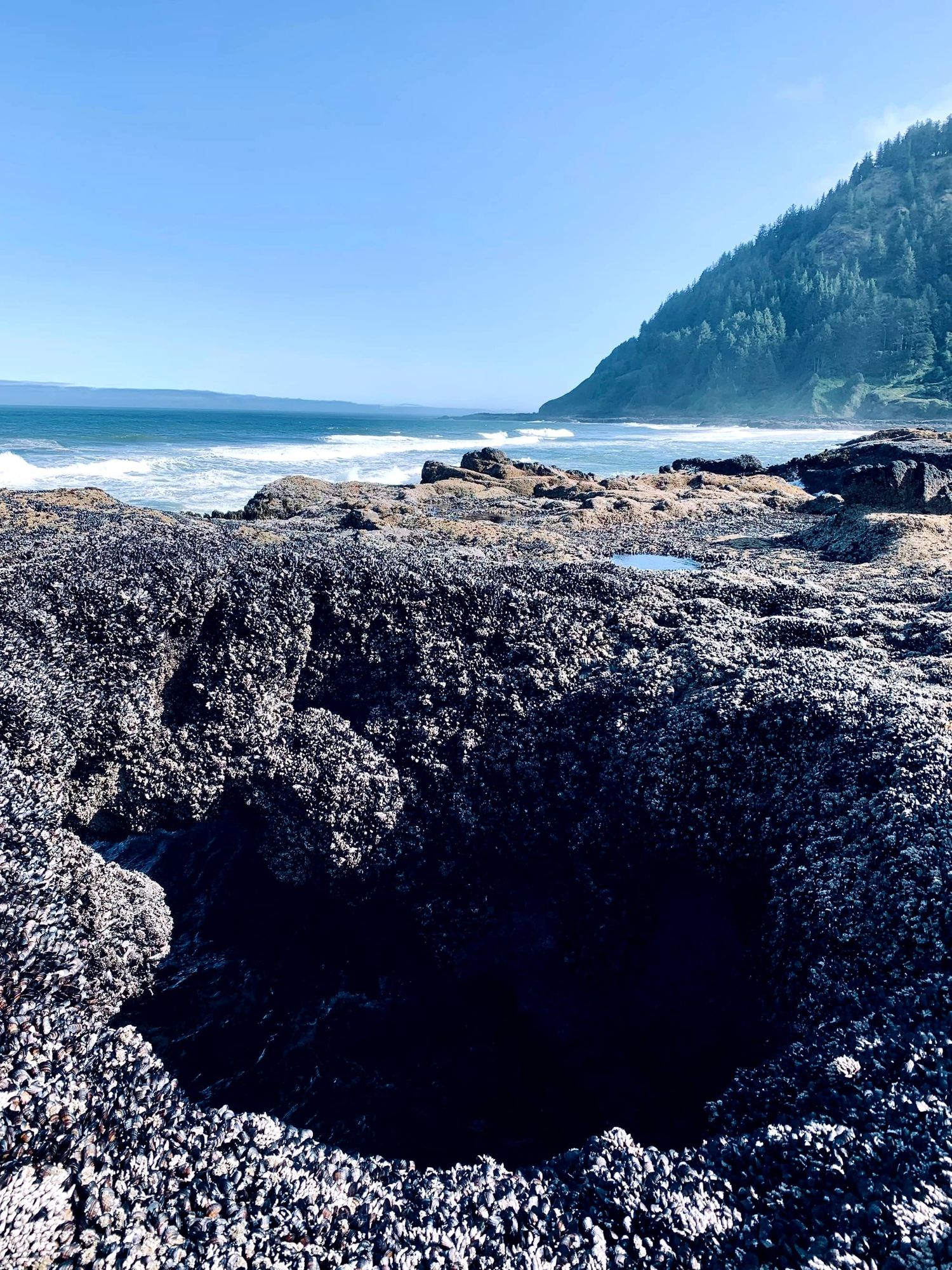 A Parallelogram of Crisis and Connection: Oceans, Climate, AI, and Human Nature