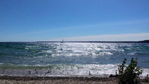 Translating Vulnerability