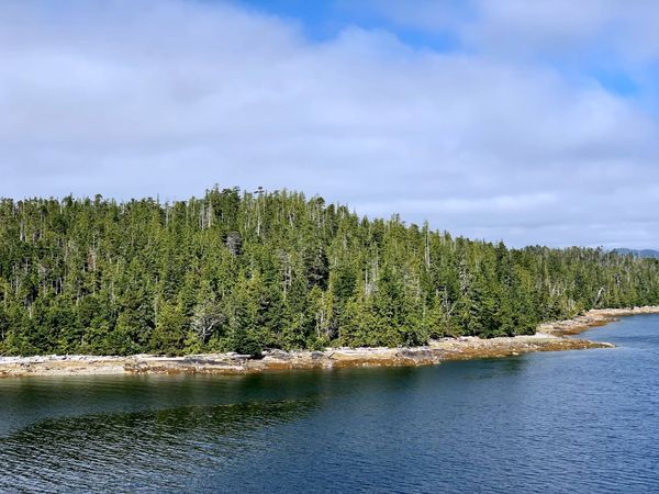 Storm Lines and Story Lines: Learning Relational Resilience from Haida Gwaii