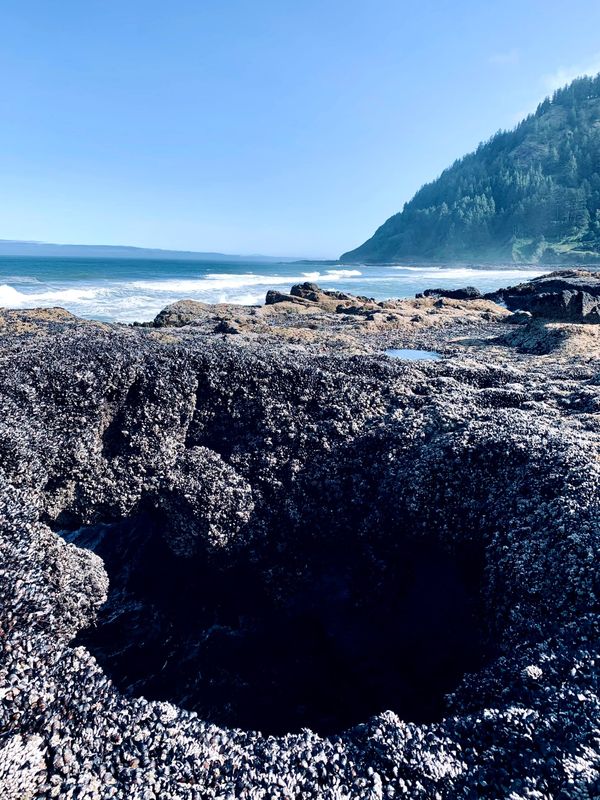 A Parallelogram of Crisis and Connection: Oceans, Climate, AI, and Human Nature