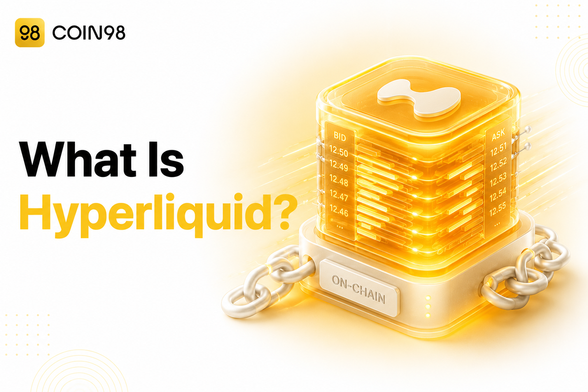 What Is Hyperliquid? A Beginner's Guide to the On-Chain Perp DEX