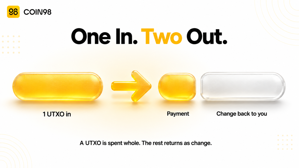 What is a UTXO, and why does Bitcoin track money this way?