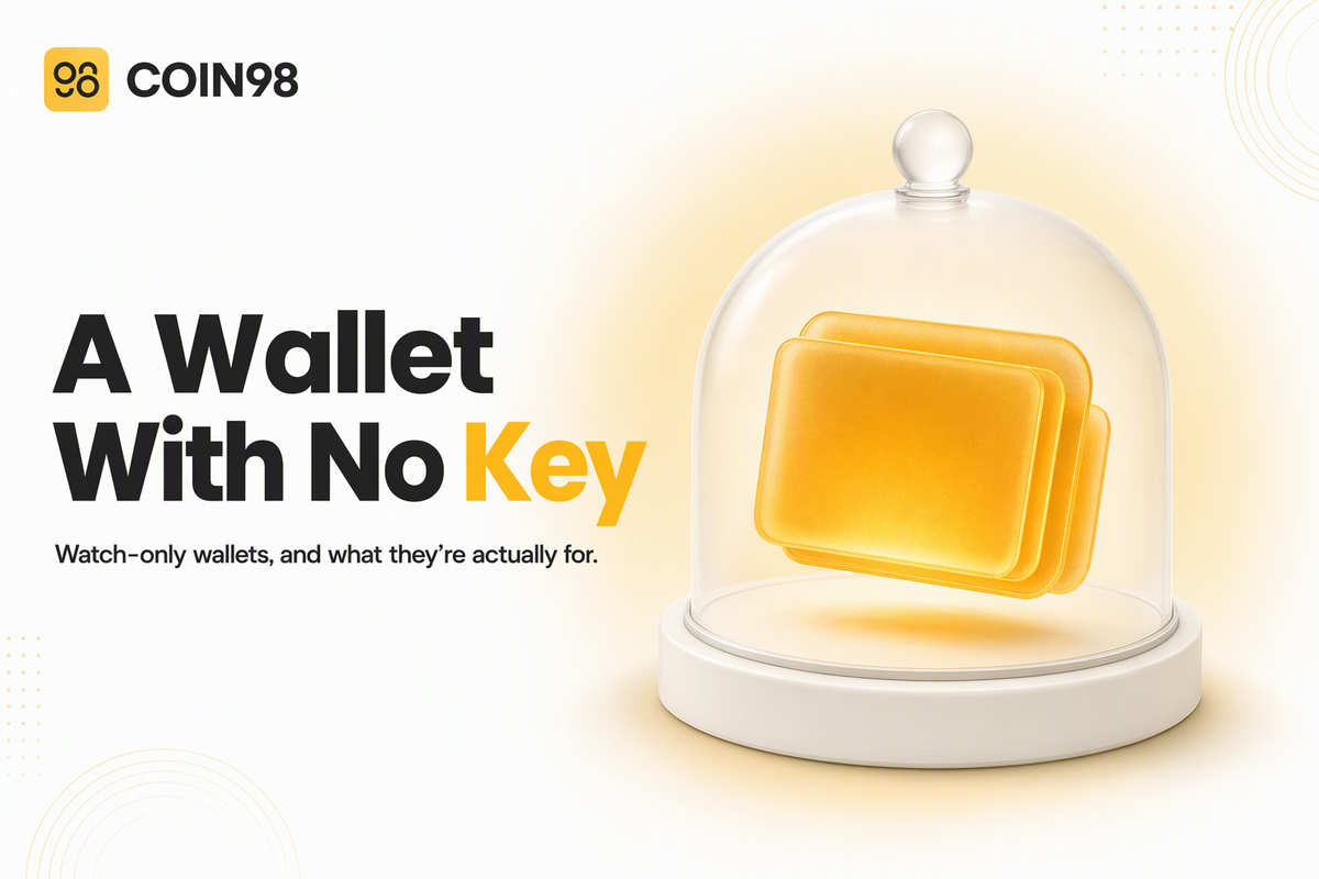 Watch-only wallets: track a portfolio without exposing any keys