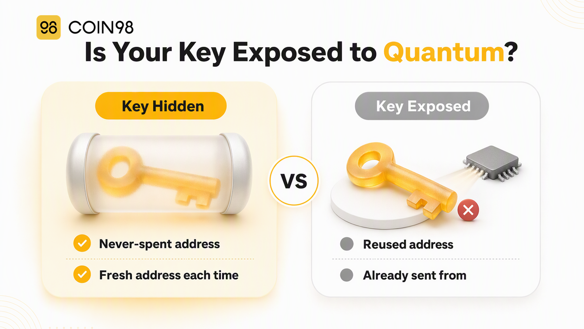 Quantum computing and crypto: is your wallet at risk?