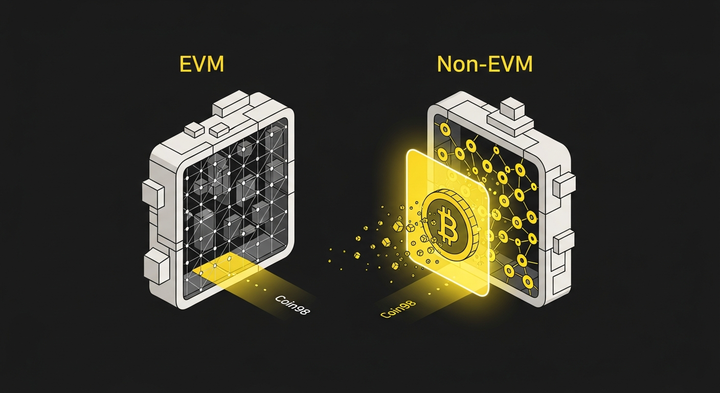 EVM vs. Non-EVM: Your Guide to Stop Sending Crypto to Wrong Chains
