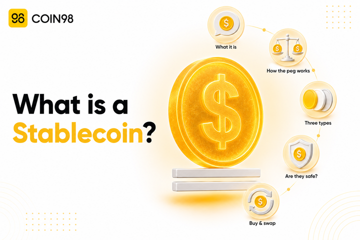 What is a stablecoin? A beginner's guide to digital dollars