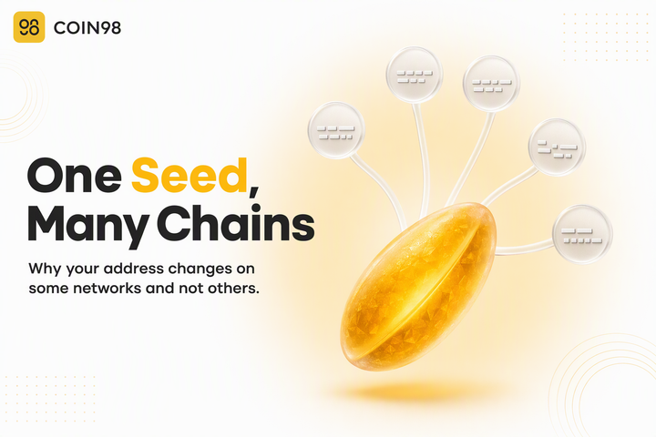 One seed, many chains: how multichain accounts actually work