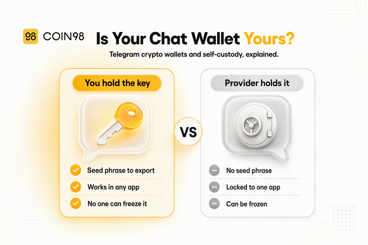 Telegram crypto wallets explained: self-custody in messaging apps