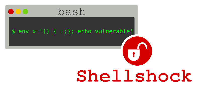 ShellShock, What I've Understood