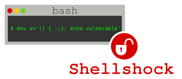 ShellShock, What I've Understood