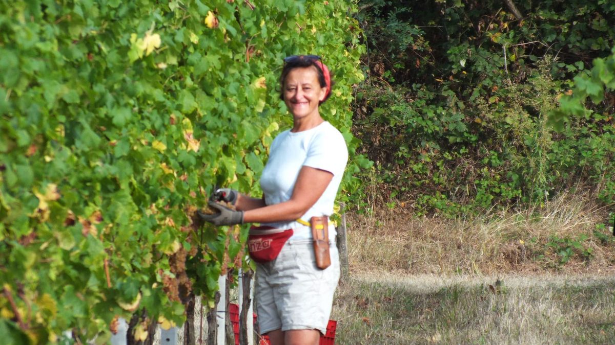 Francesca Castaldi, Pianazzi Nebbiolo - Italy, 2023