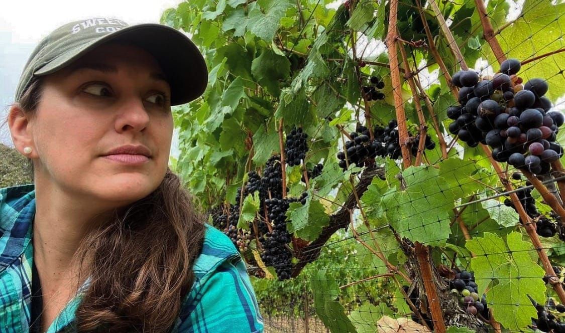 Leah Jørgensen, Blanc de Cabernet Franc - Oregon, 2022