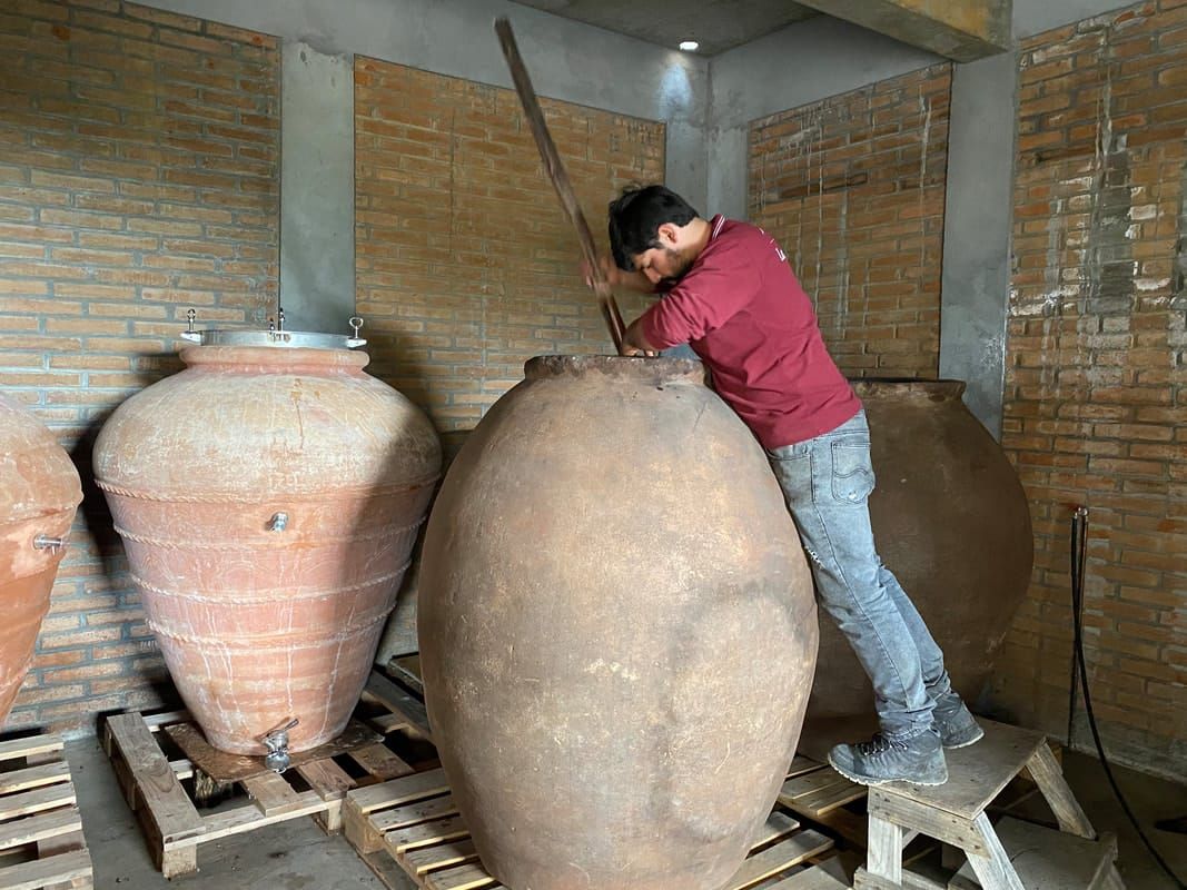 Lomas de Llahuen, Desorden Tinto - 2024