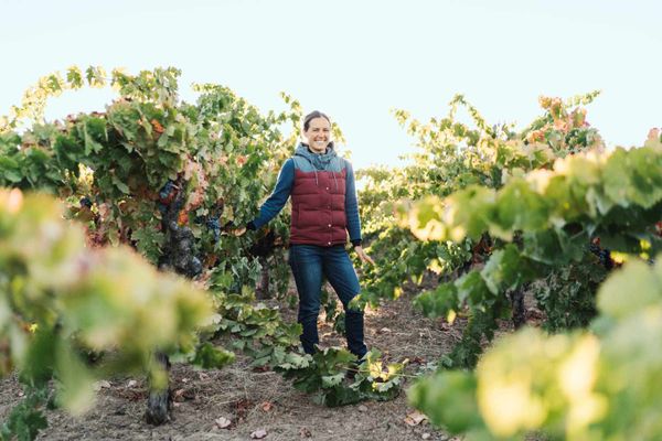 Martha Stoumen, Post Flirtation White Blend - California, NV