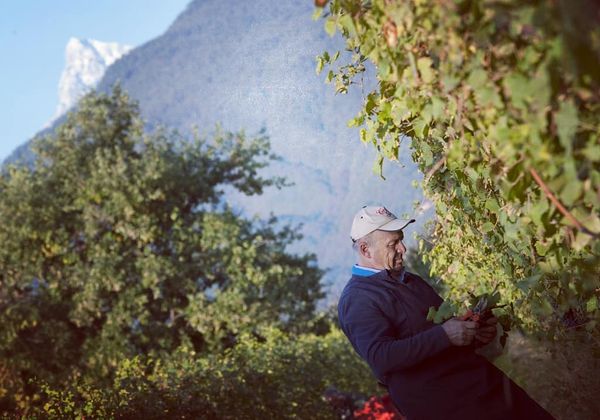 Le Marie, Pinerolese - 2024