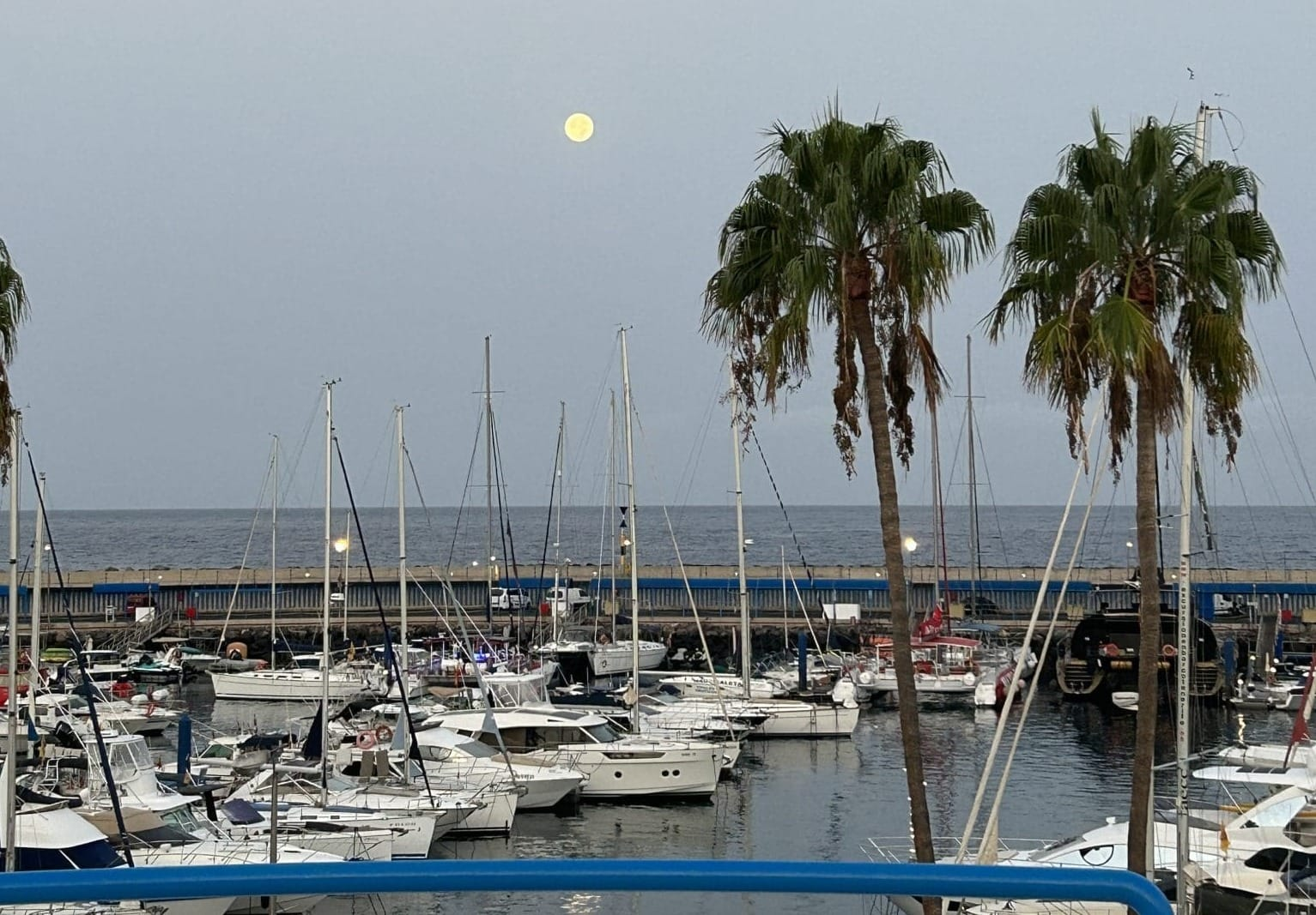The moon still out over the harbour