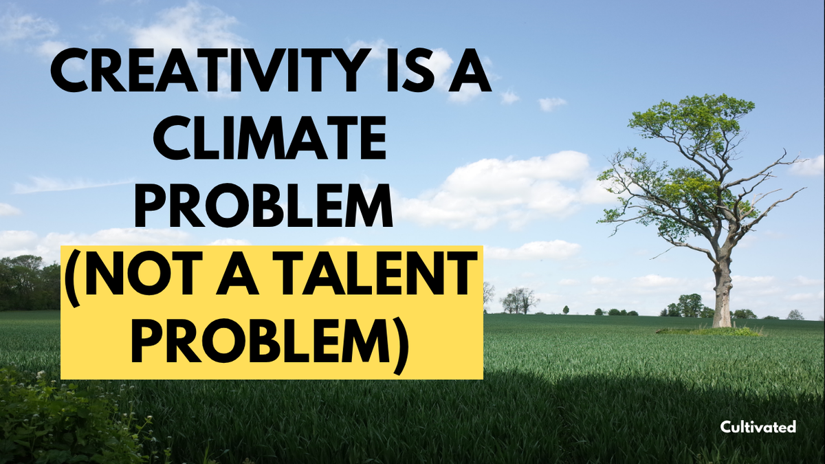 Creativity Is a Climate Problem - Why Leadership Isn't About Ideas