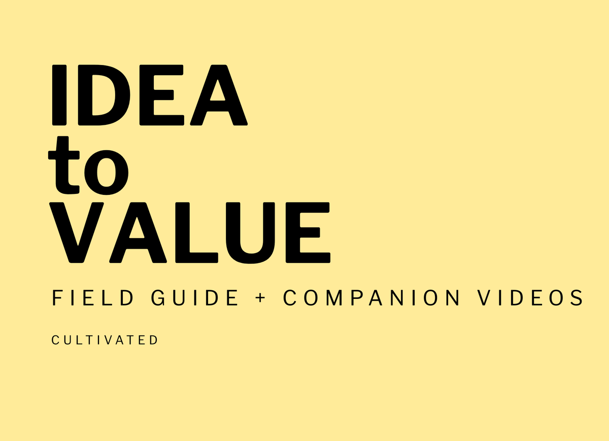 The Idea to Value system