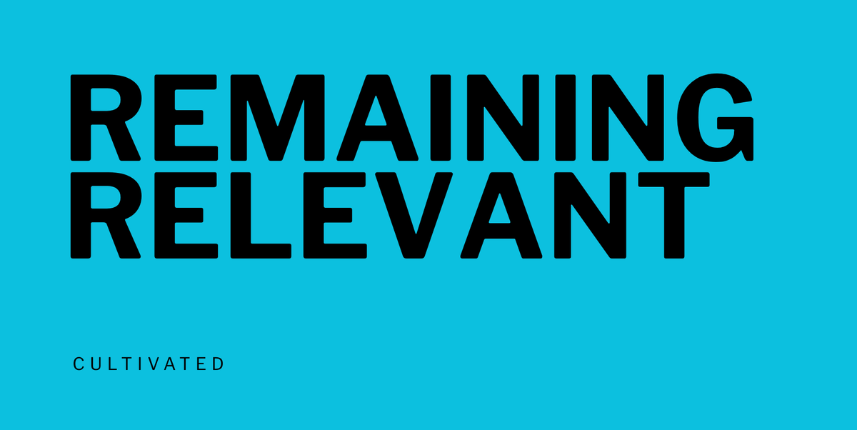 Remaining Relevant and Employable — The Original Book