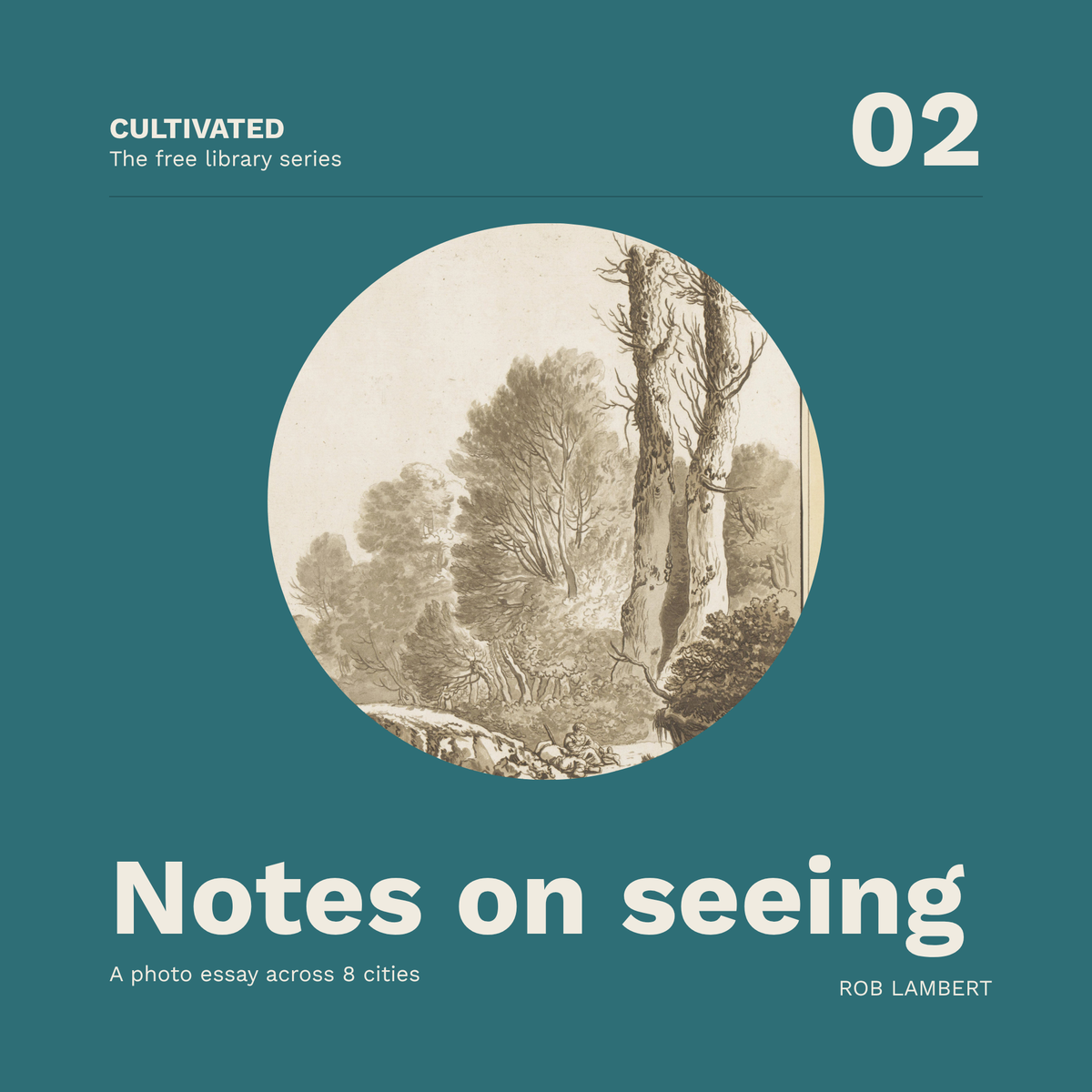Notes on Seeing, Work, and Life