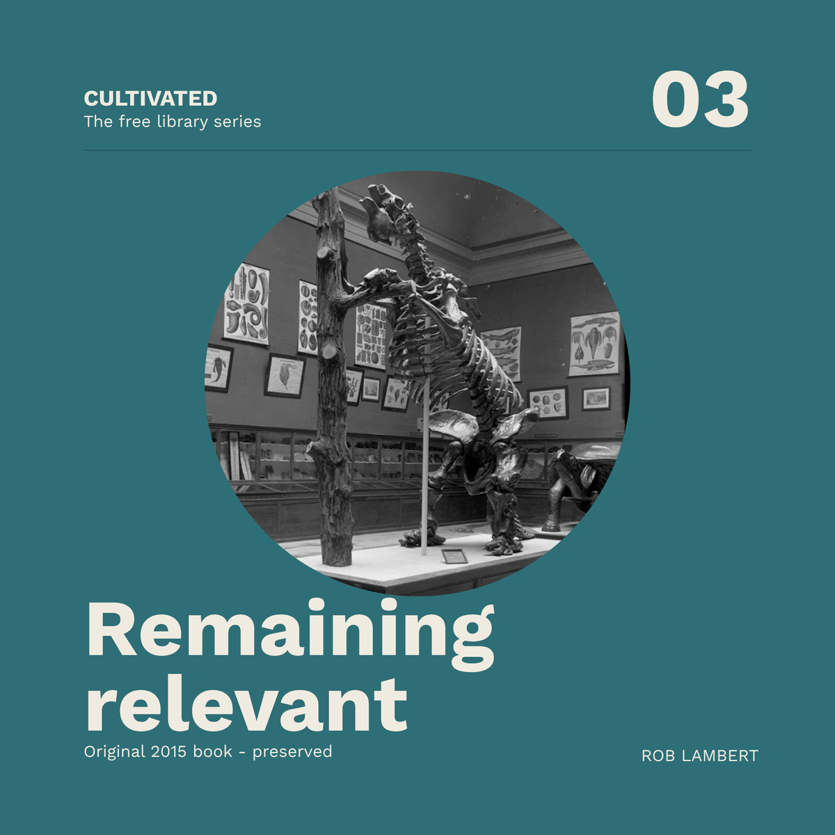 Remaining Relevant and Employable — The Original Book