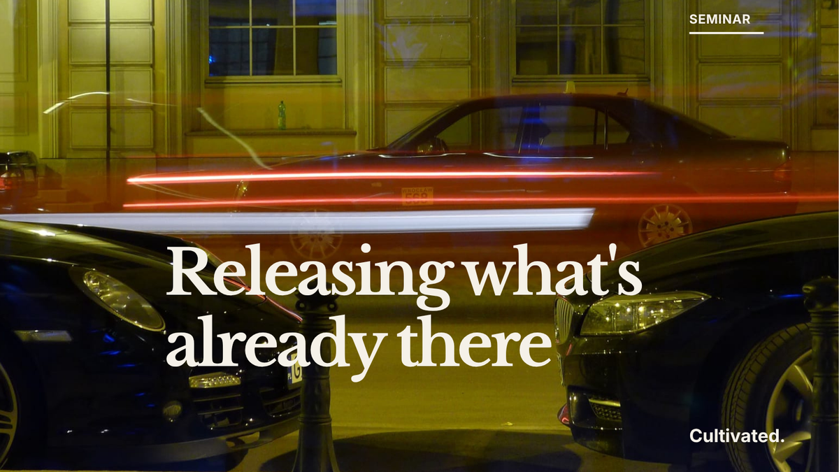 Releasing Business Agility