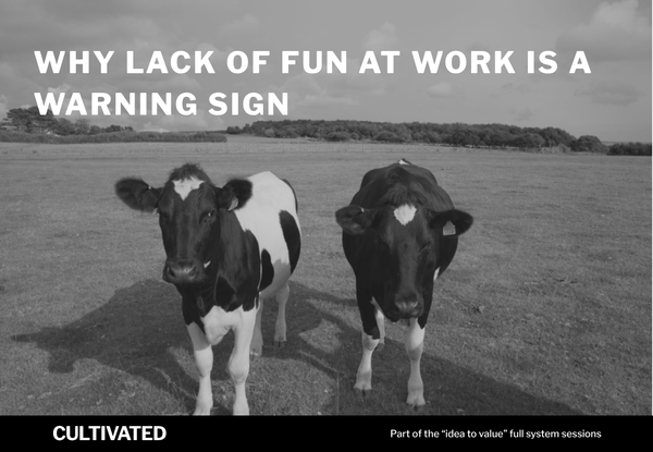 A photo of some cows with the words overlaid - Why Lack of Fun at Work Is a Warning Sign